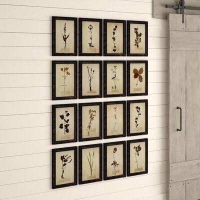 Dried Flower - 16 Piece Picture Frame Print Set on Wood