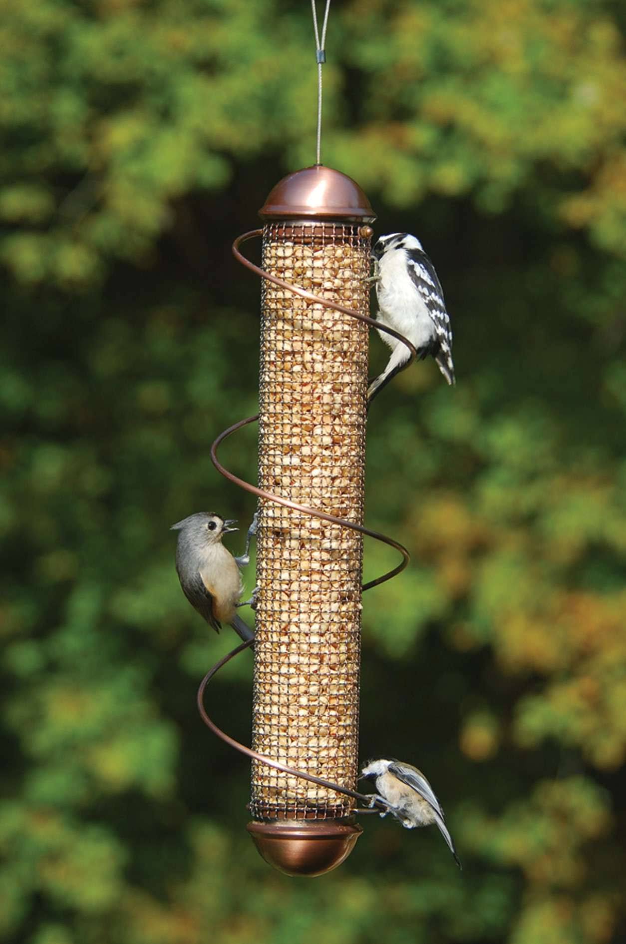 Songbird Essentials SEBQSBF4C 17x22 Copper Peanut Feeder