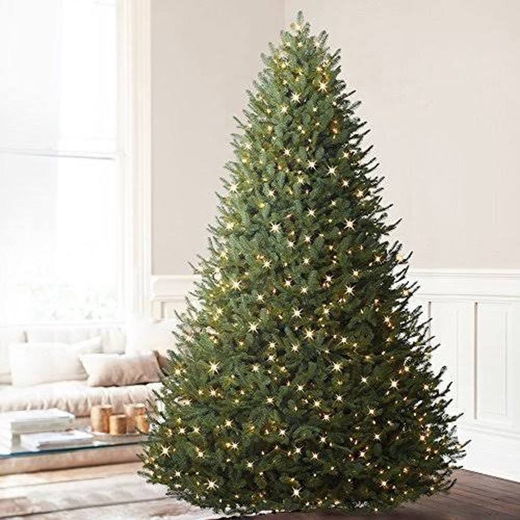 Balsam Hill BH Balsam Fir Premium Prelit Artificial Christmas Tree, 6.5 Feet, Clear Lights