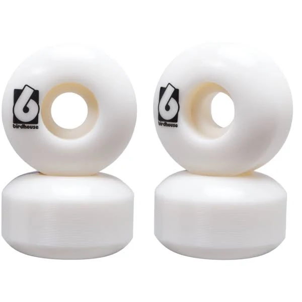 Birdhouse Skateboard Component Kit (Silver)