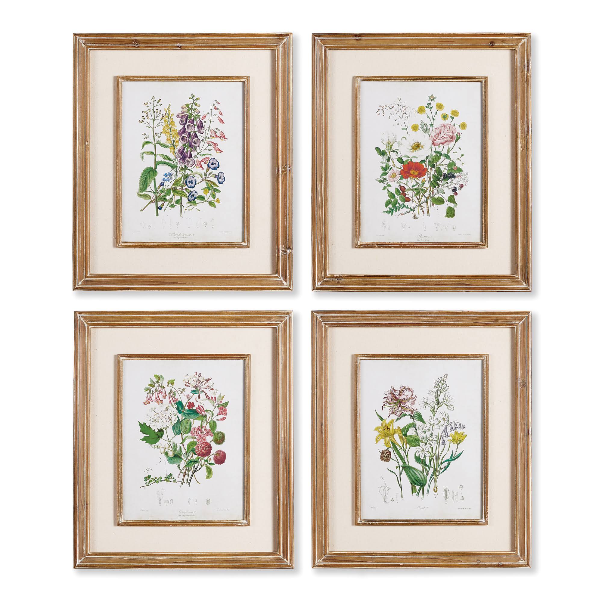 Garden Botanical Prints Gallery (Set of 4)