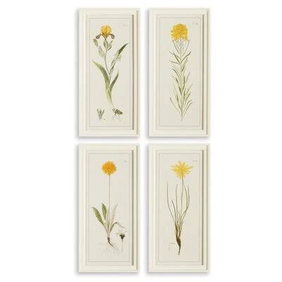 &Flower Prints& 4 Piece Picture Frame Print Set Birch Lane