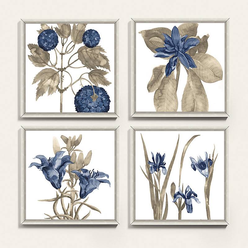 Watercolor Buchoz Art 18x22 x 18x22 - Ballard Designs