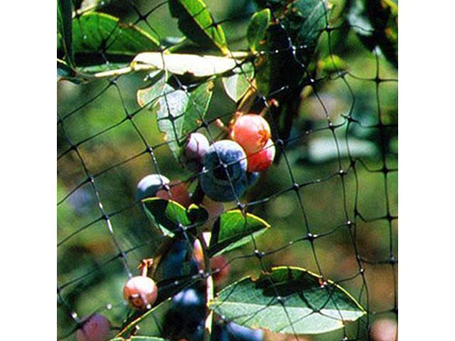 Bird-X Standard BirdNet 3/4x22 Mesh - 200&x14&