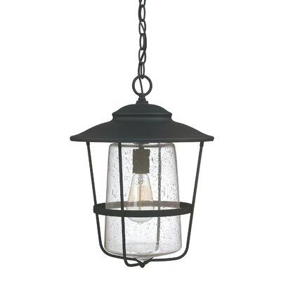Remington 1- Light 17.5x22 H Outdoor Hanging Lantern Fixture Finish: Black