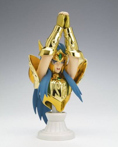 Saint Seiya Saint Cloth Myth Appendix Aquarius Camus