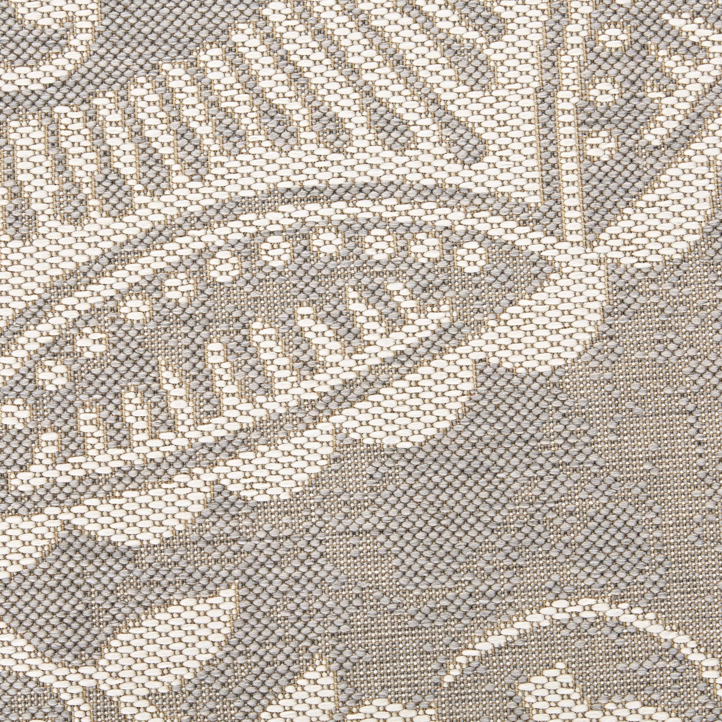 Balta Benson Light Gray Indoor/Outdoor Area Rug; 7&10&& x 10&