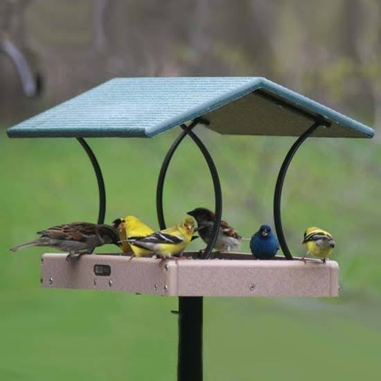 Birds Choice Recycled Fly Thru Bird Feeder