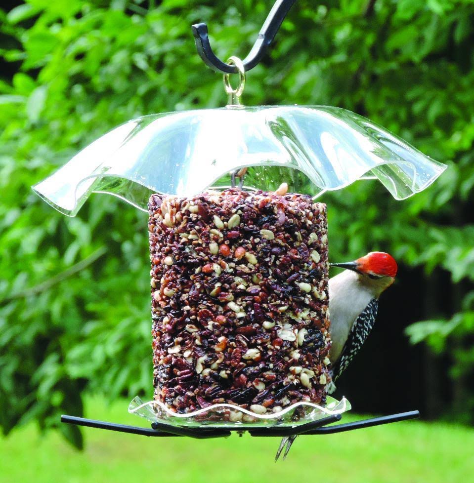 Birds Choice Seed Cylinder Fdr.(Seed Cylinder Not Included)