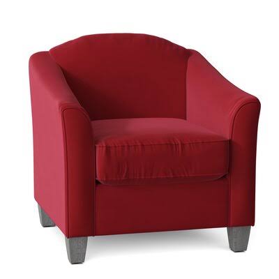 Birkett Armchair Body Fabric: Sunbrella Canvas Navy, Leg Color: Gray