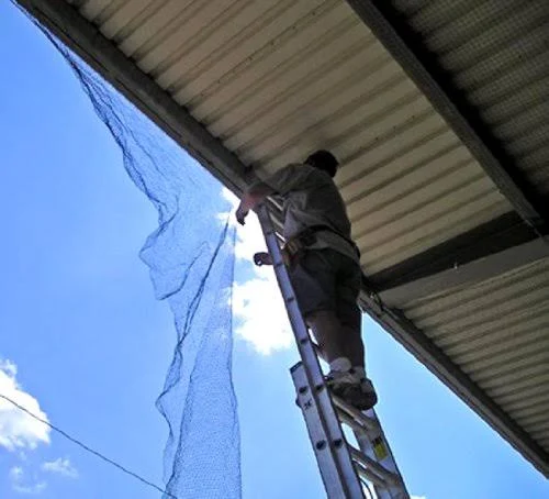 Bird-X STRUCTURAL Bird Netting Ideal for Gardens and Medium-Weight Applications, 100& by 14&