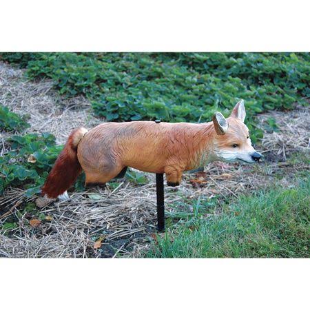 Bird-X 3D Fox Decoy
