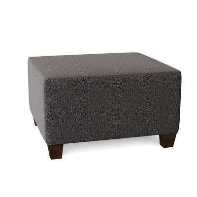 Birch Lane Lise 29x22 Rectangle Standard Ottoman Body Fabric: Anthem Charcoal