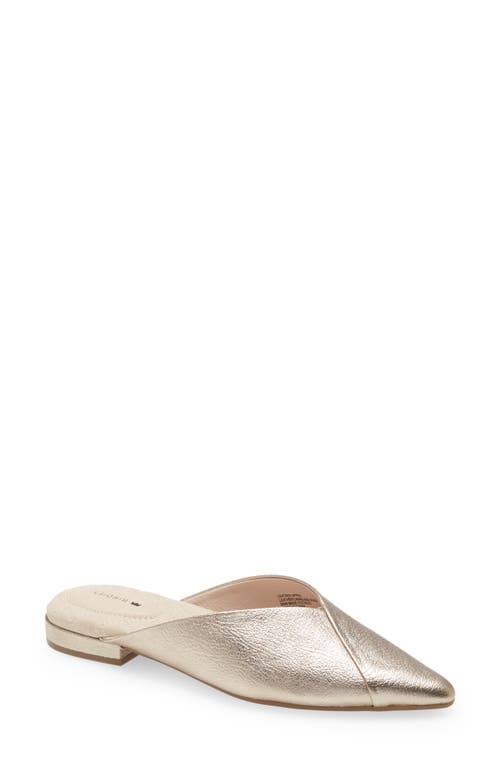 Birdies Swan Flat, Size 7 in Gold at Nordstrom