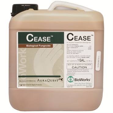 BioWorks Cease Microbial Fungicide / Bactericide 1 Gallon