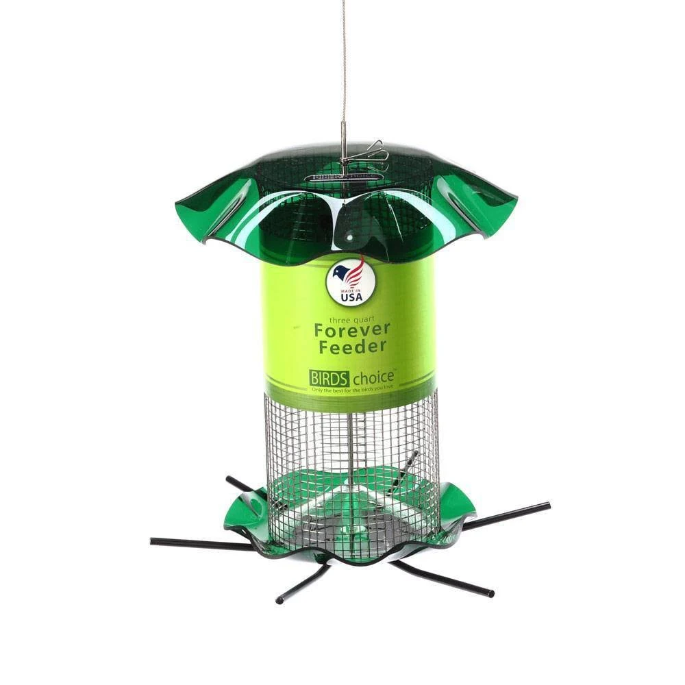 Birds Choice 3 Qt. Green Sunflower Forever Feeder