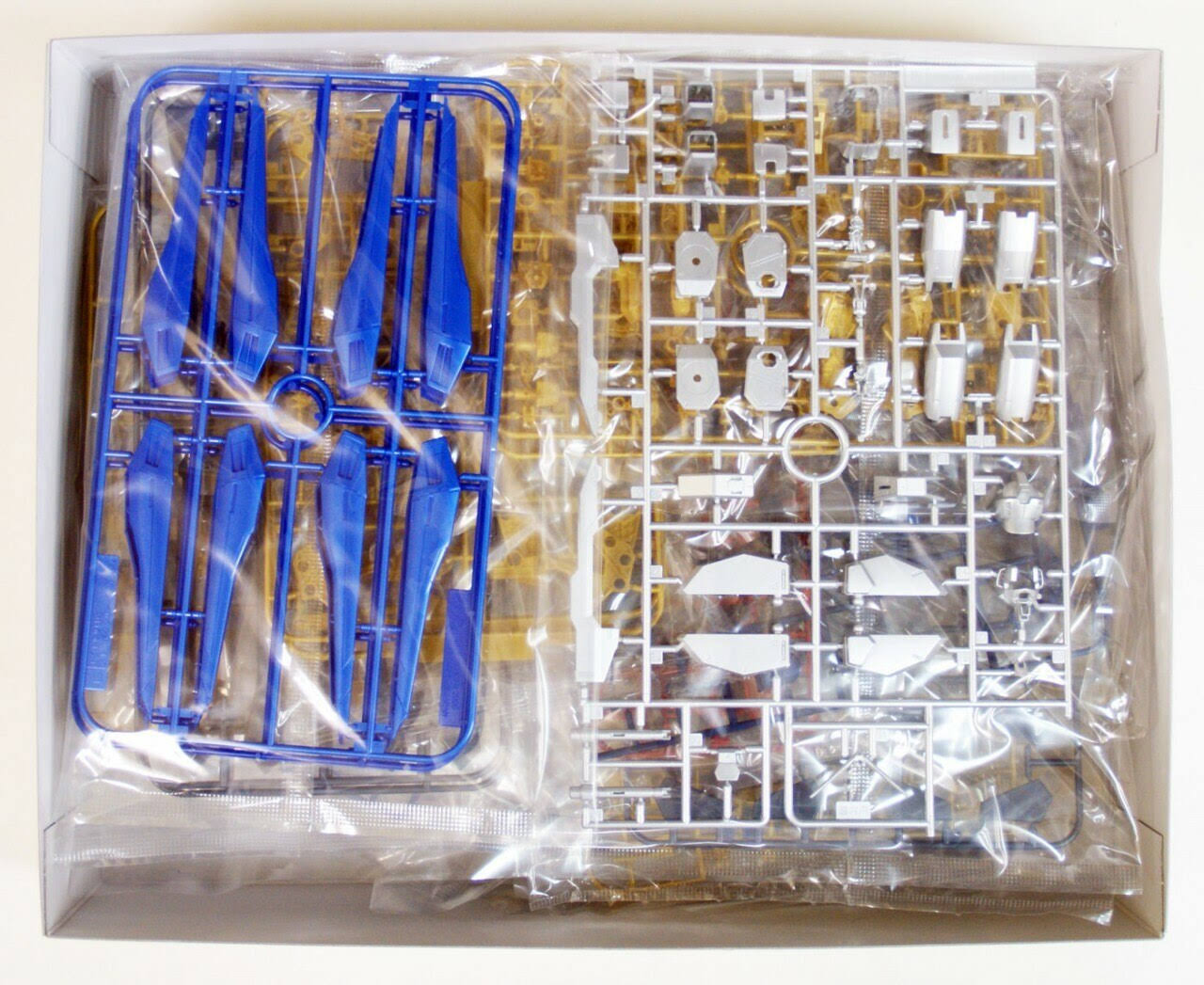 1/100 Scale mg Strike Freedom Gundam Extra Finish Version