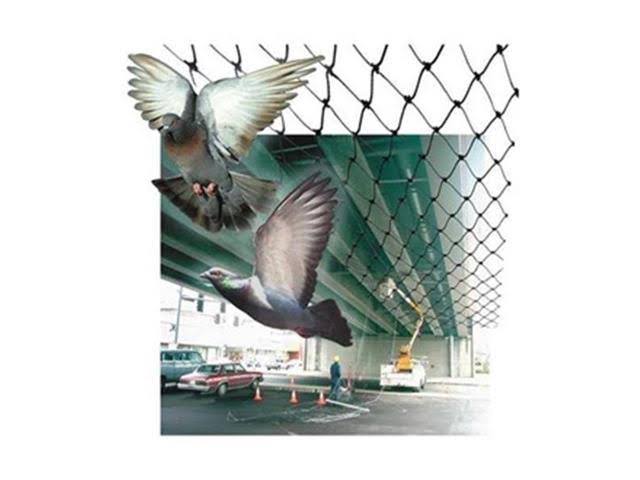Bird-X NET-PE-50-50 Bird Repellent Net, 50 ft. x 50 ft.