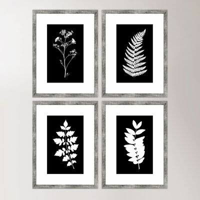 &Impressions& 4 Piece Picture Frame Print Set