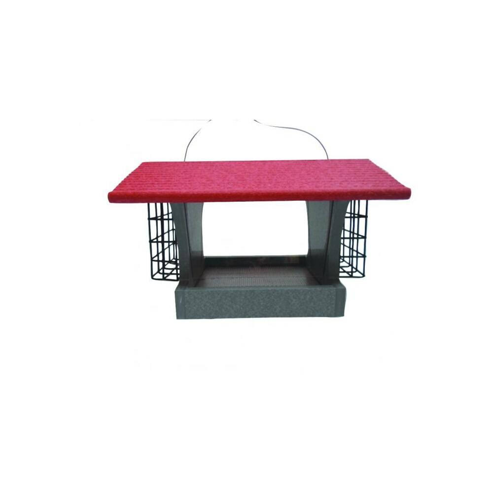 Birds Choice Medium Backyard Nature Red Hopper Feeder with Suets