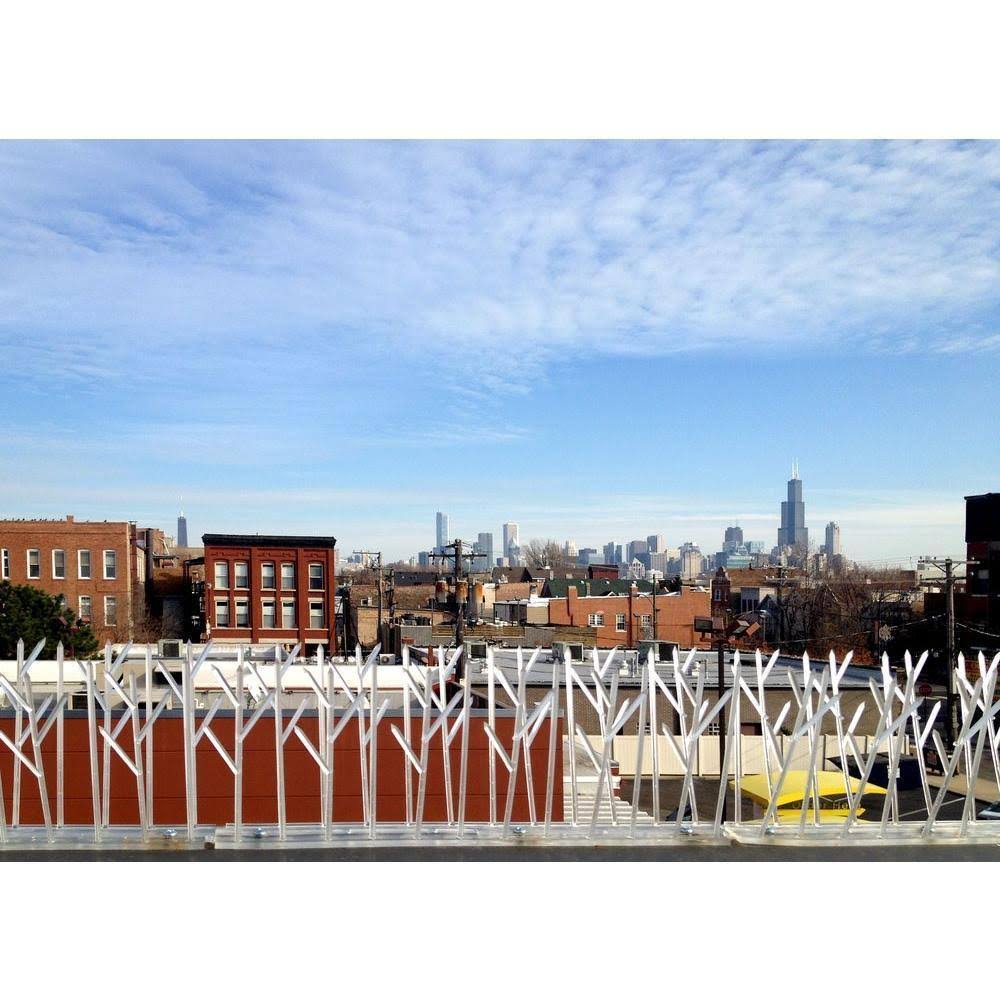 Bird-X 100 ft. Plastic Bird Spikes