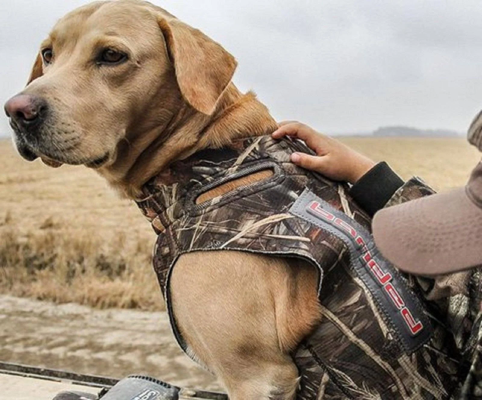 Banded 5mm Dog Parka - Bottomland