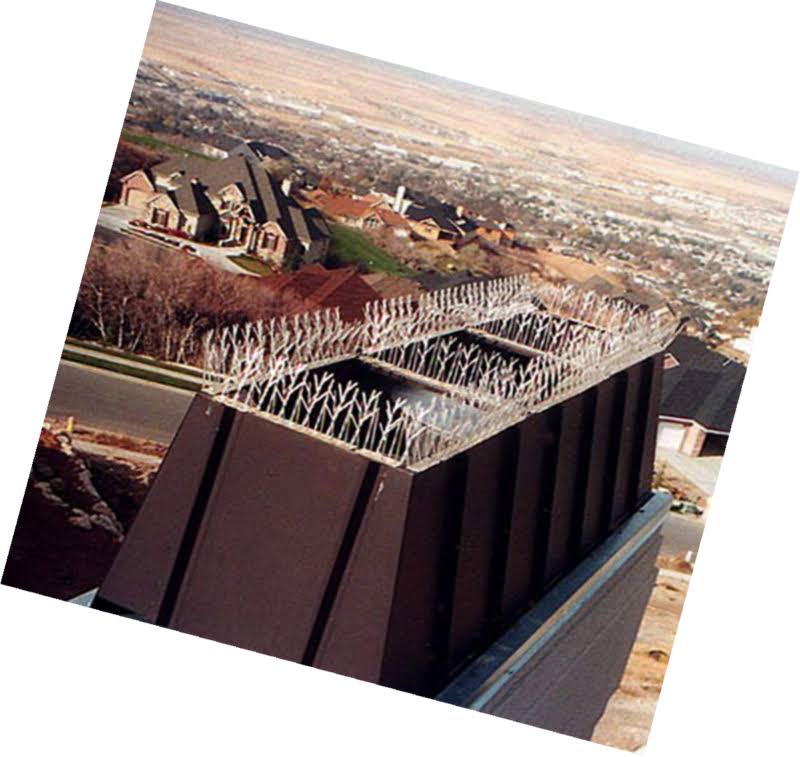 Bird-X 100 ft. Plastic Bird Spikes