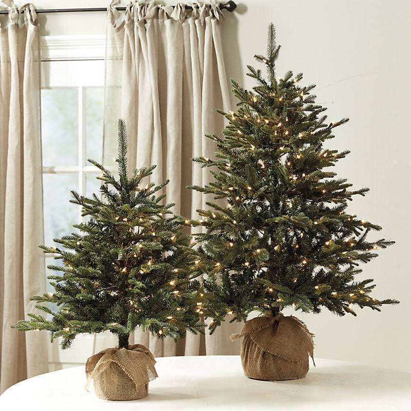 Suzanne Kasler Frasier Fir Tabletop Tree 4& - Ballard Designs