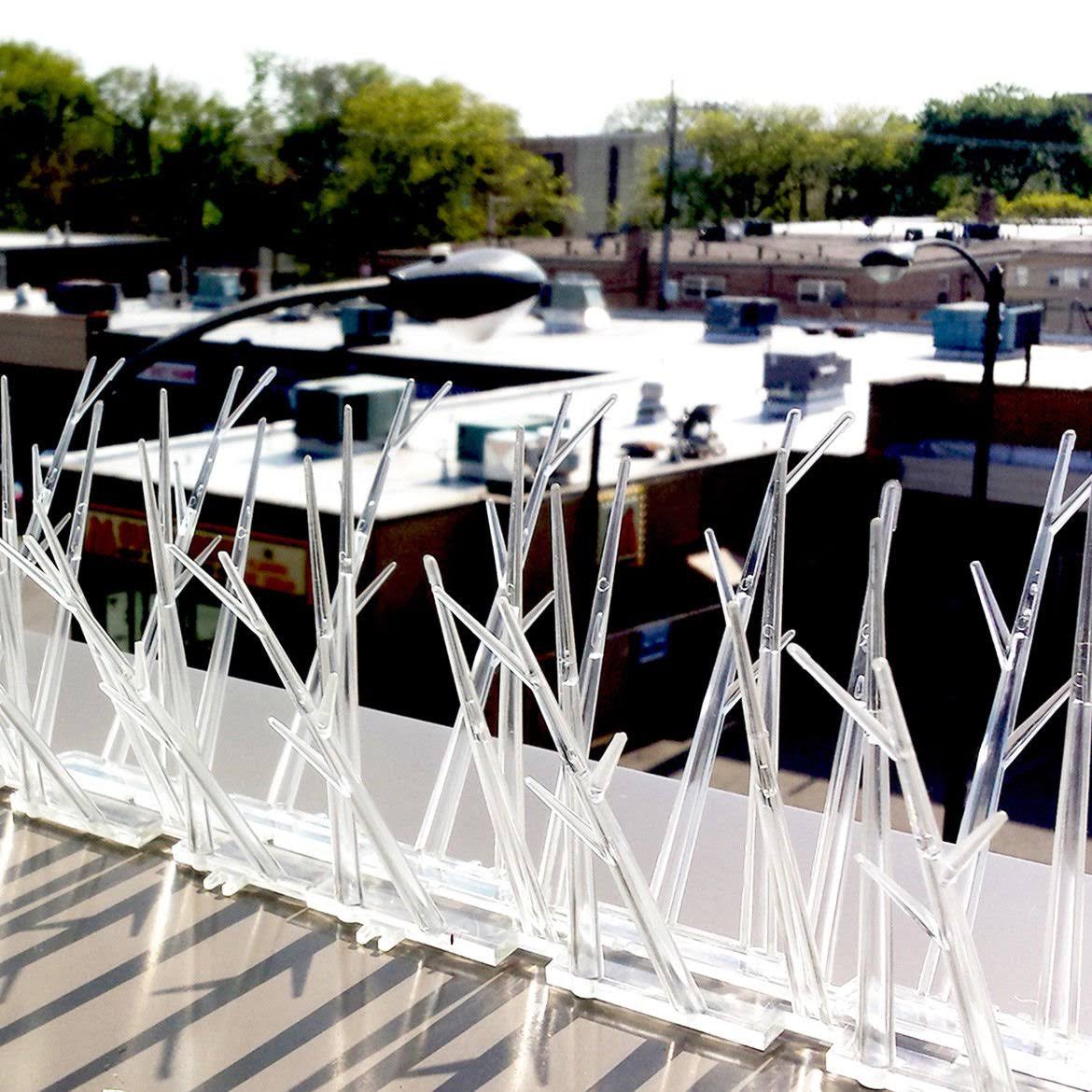 Bird-X 100 ft. Plastic Bird Spikes