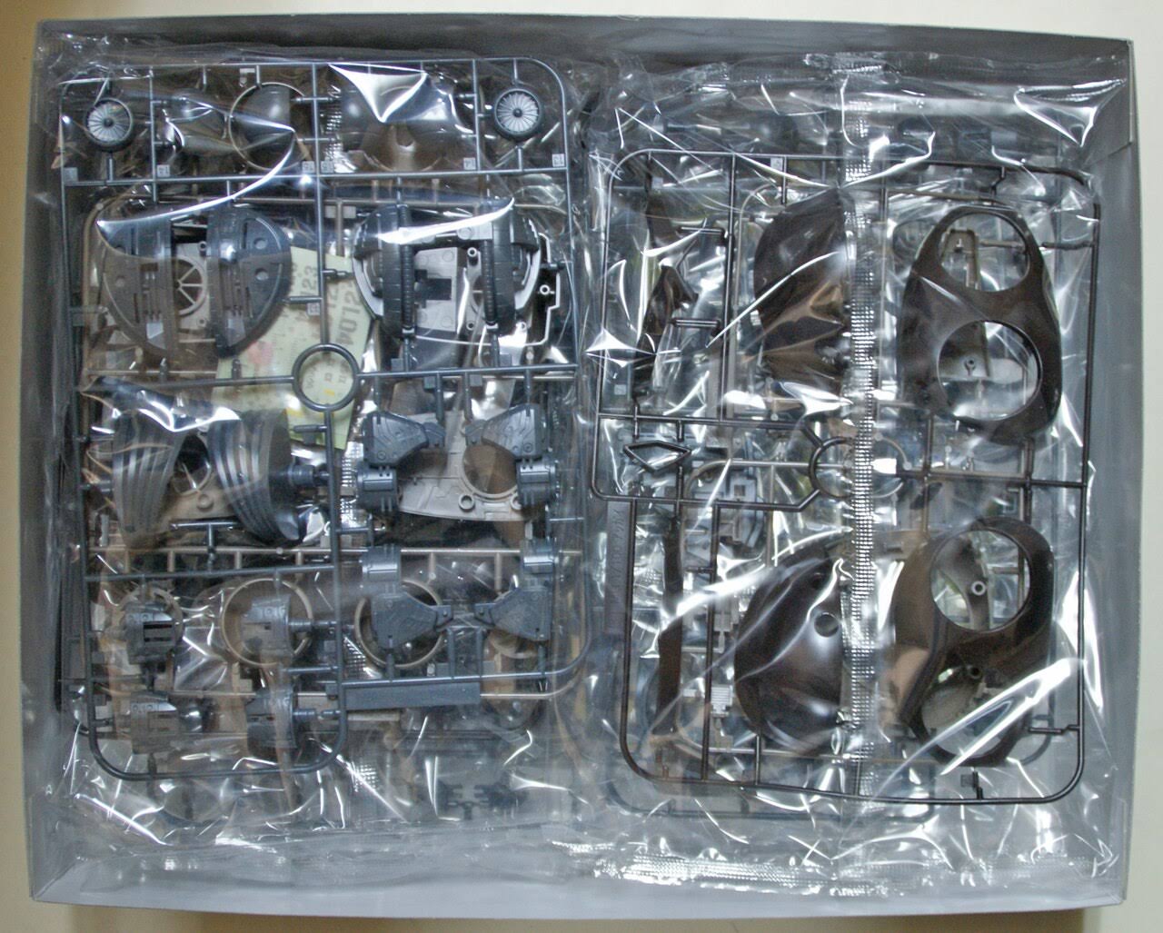 Gundam MSM-04 Acguy mg 1/100 Scale