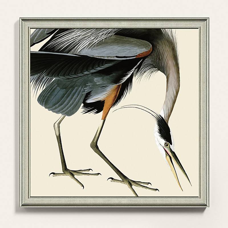 Audubon Blue Heron Art 23x22 x 23x22 - Ballard Designs