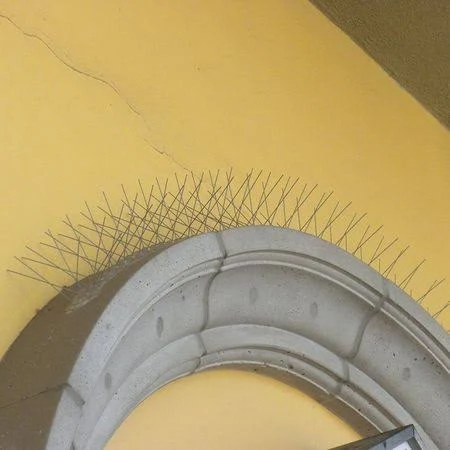 Bird Barrier BP-F3100 Bird Repellent Spikes, 100 ft.