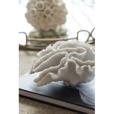 Beachcrest Home Decorative Palancar Coral Table Decor