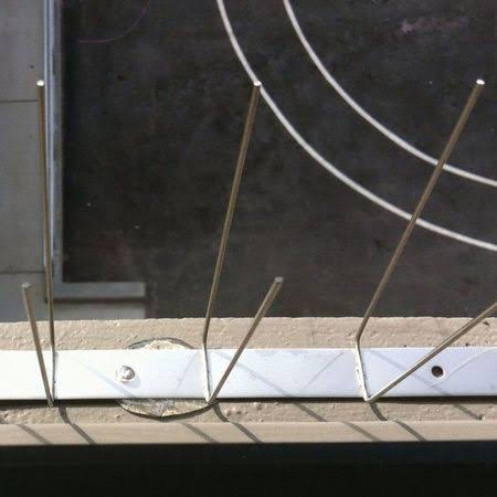 Bird Barrier BP-F1100 Bird Repellent Spikes,Bird-Flite,100 ft.