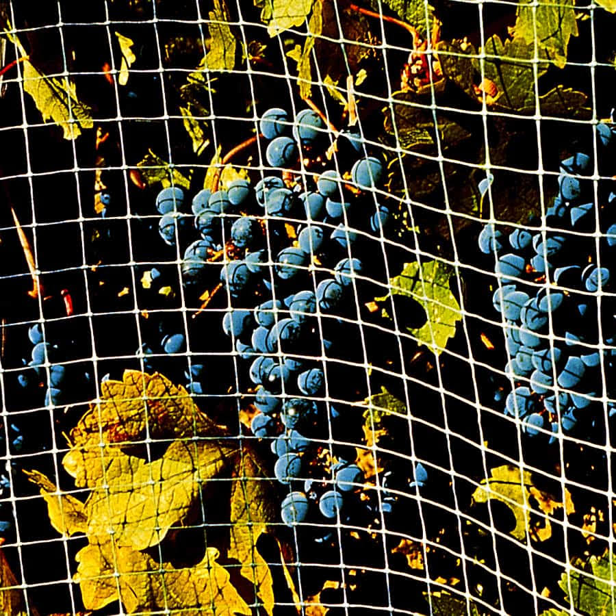 Bird-X NET-STR-200 200 ft. x 14 ft. STRUCTURAL Bird Netting