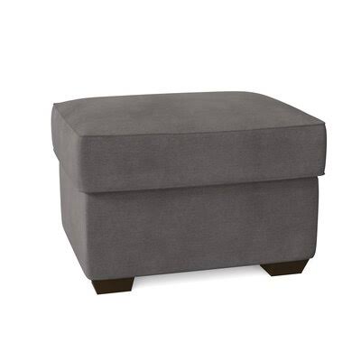 Birch Lane Swifton 29x22 Rectangle Standard Ottoman Body Fabric: Capri Dove