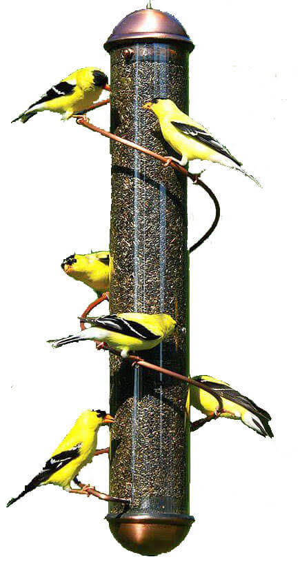 Songbird Essentials 17 inch Copper Spiral Thistle Feeder