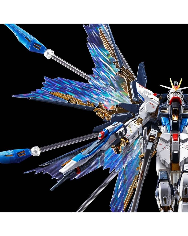 Gundam Seed Destiny Expansion Effect Unit for RG 1/144 Strike Freedom Gundam