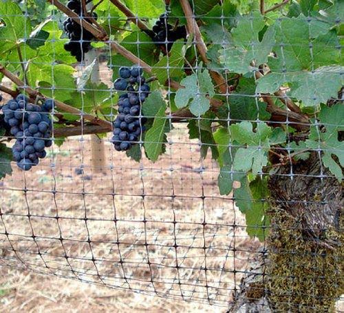 Bird-X Standard BirdNet 3/4x22 Mesh - 200&x14&