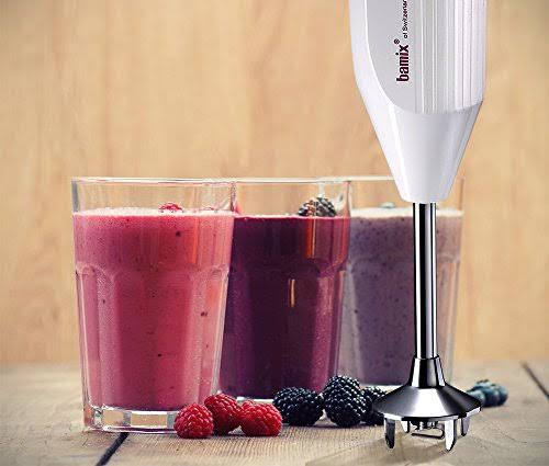 Bamix Pro-1 M150 Professional Series NSF Rated 150 Watt 2 Speed 3 Blade Immersion Hand Blender with Wall Bracket
