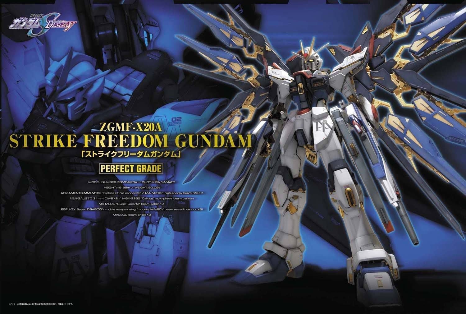 PG Strike Freedom Gundam 1/60