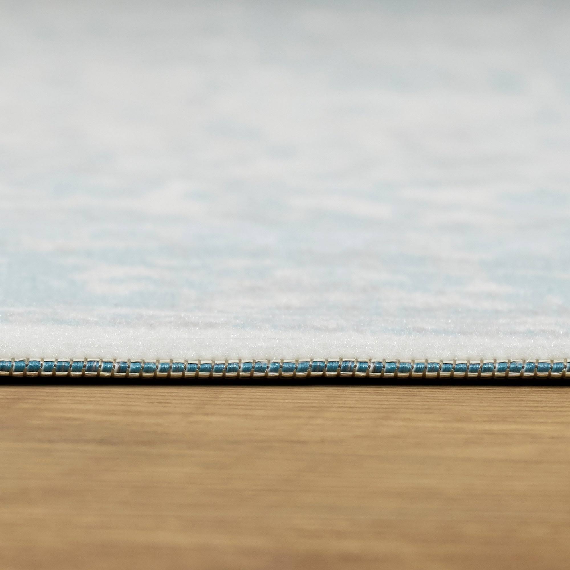 BALTA Rugs Inaya Distressed Oriental Indoor/Outdoor Area Rug