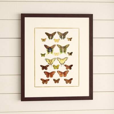 &Papillon& by PTM Images - Picture Frame Graphic Art Print on Wood Birch LANE?