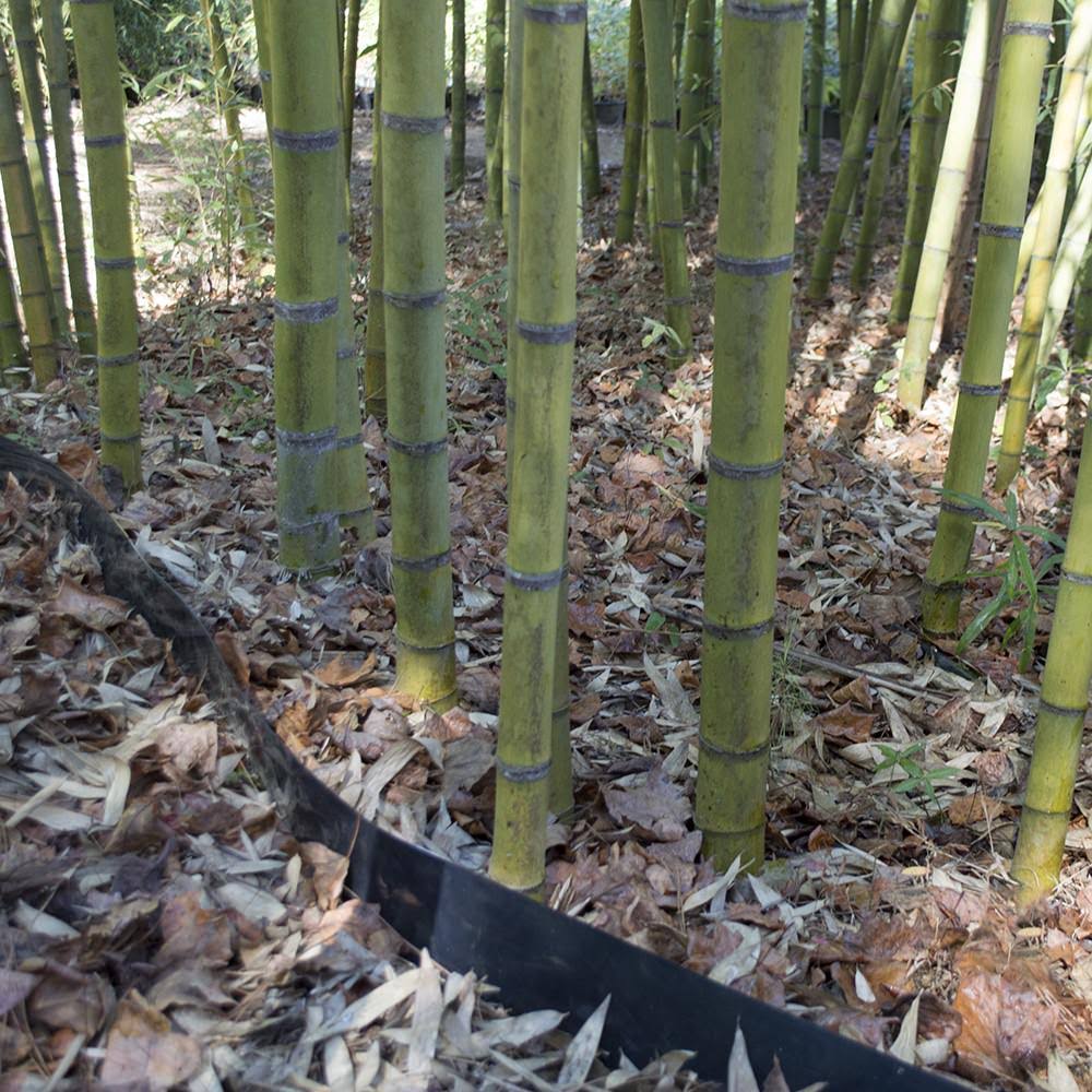 Bamboo Shield - 100 Mil Thick by 36in Depth 25 Feet