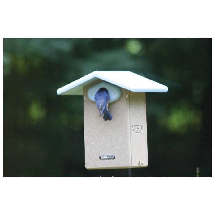 Birds Choice SNULTCAM Recycled Ultimate Bluebird House with Camera