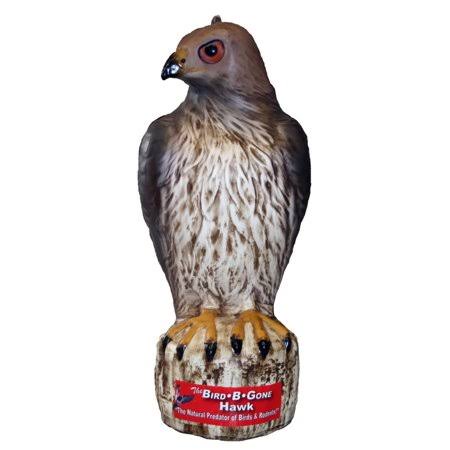 Inc Mmrth1 Decoy Hawk - 2, Lifelike Hawk Decoy Scares Away Birds by Bird B Gone