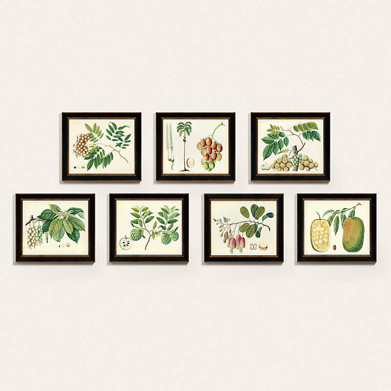 Bunny Williams Botanical Art 44x22 x 38x22 - Ballard Designs