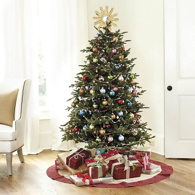 Suzanne Kasler Frasier Fir 6& Tree - Ballard Designs