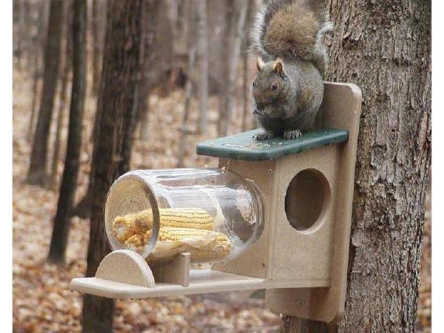 Birds Choice Recycled Jar Squirrel Feeder