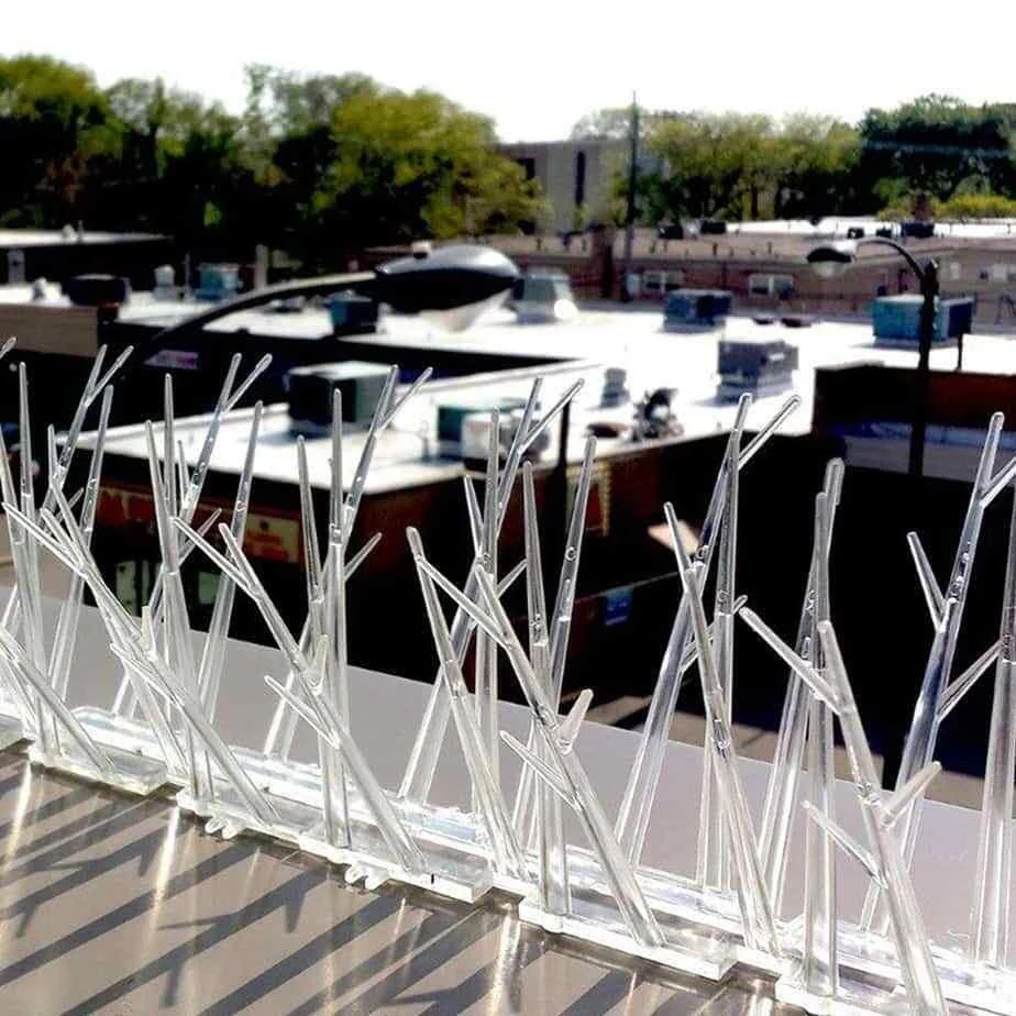 Bird-X Plastic Bird Spikes - Narrow - 25&